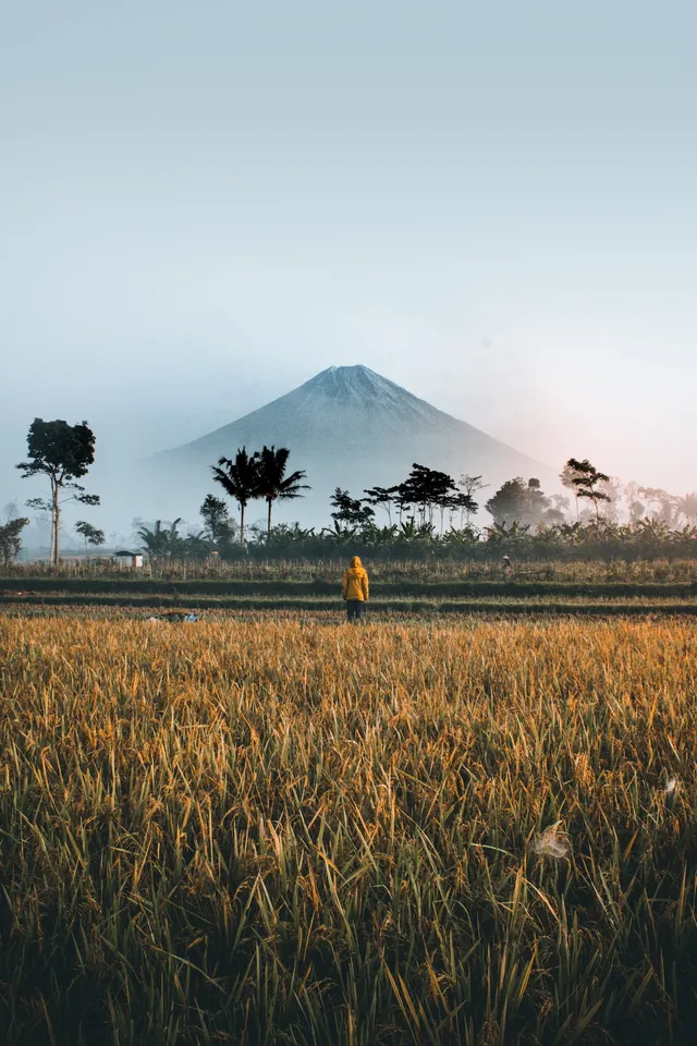 Indonesia