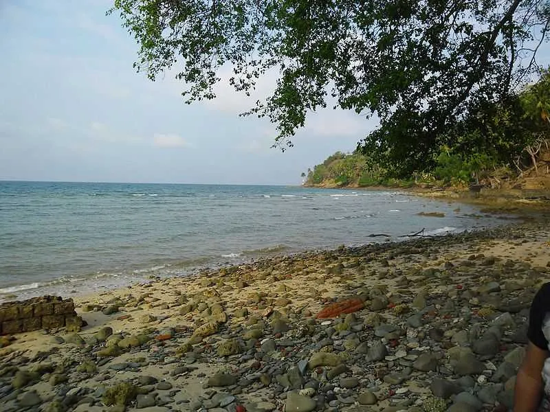 Havelock