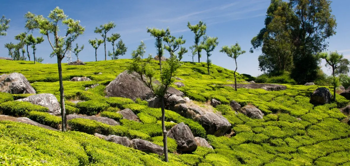 Coonoor, June 6, 2026 - None