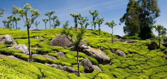 Coonoor