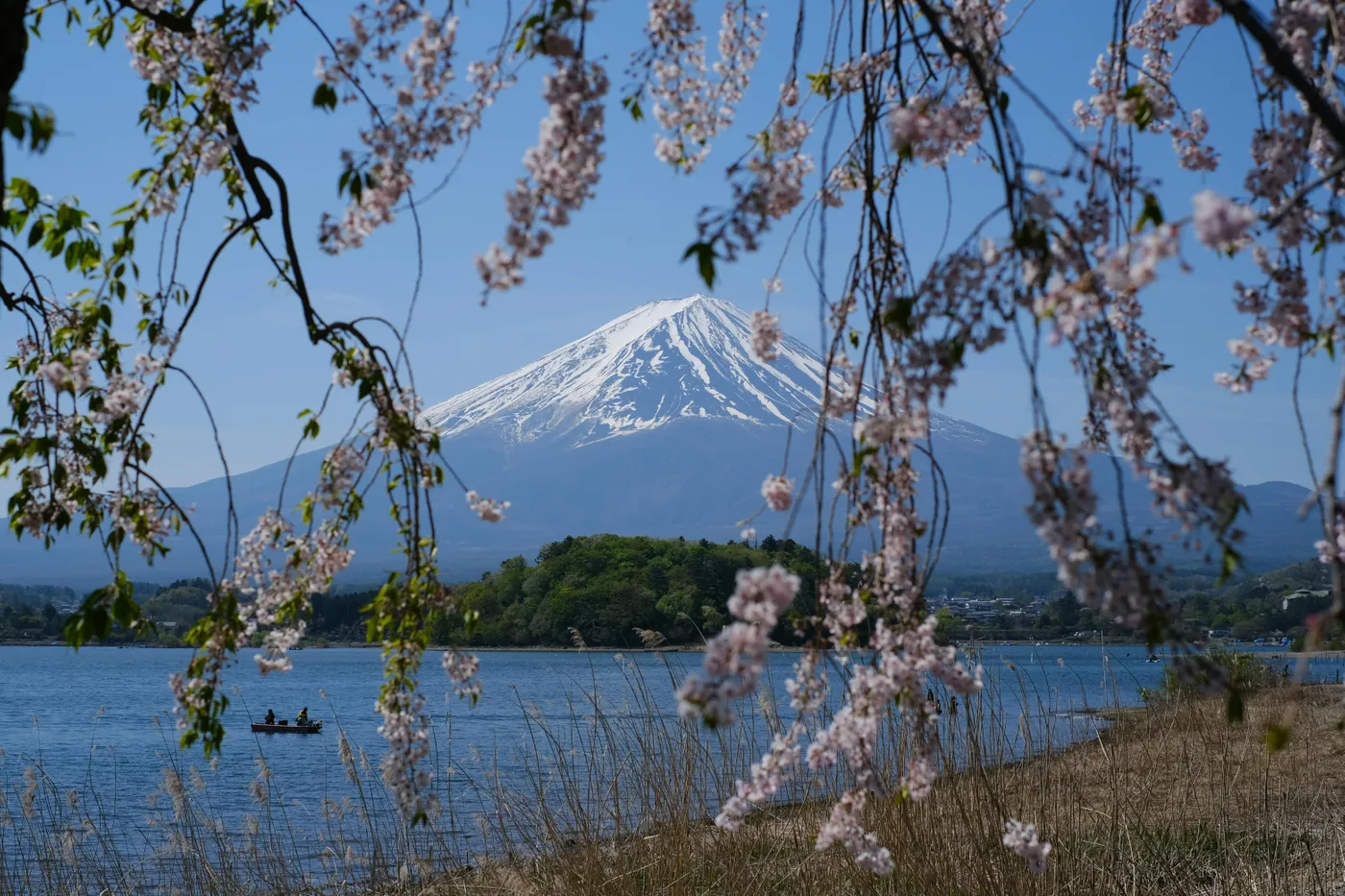 Fujikawaguchiko