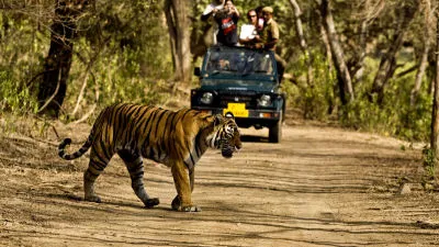 Jim Corbett: Untamed Wilderness Jeep Adventure