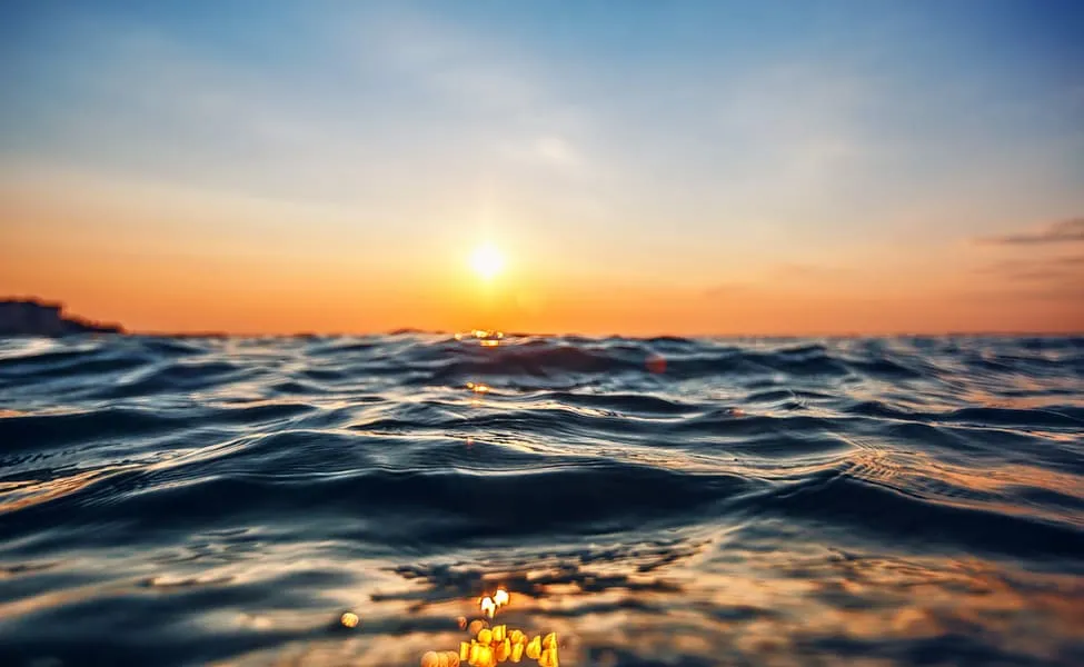 VIP Dinner Cruise Experience In Goa, Goa