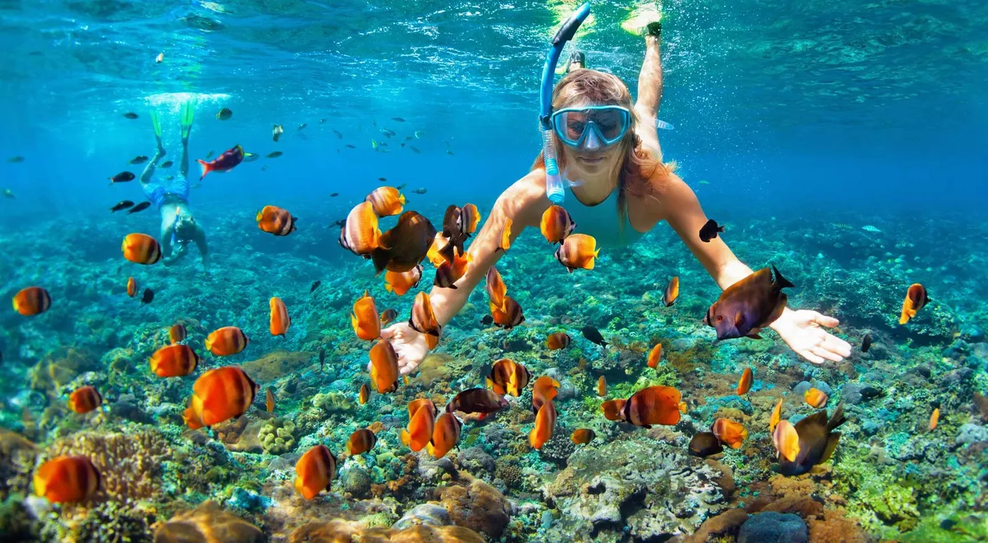 North Bay: Vibrant Coral Reef Snorkel Adventure, Port Blair