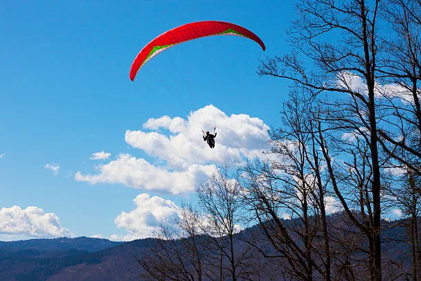 River Rafting And Paragliding In Manali, Manali