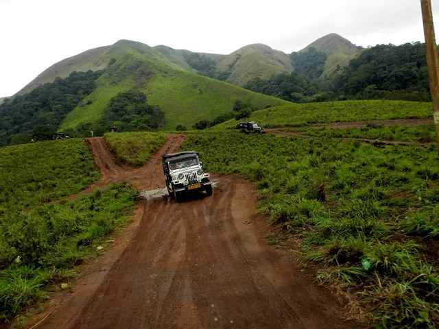 Gavi Forest Safari: Nature's Untamed Journey