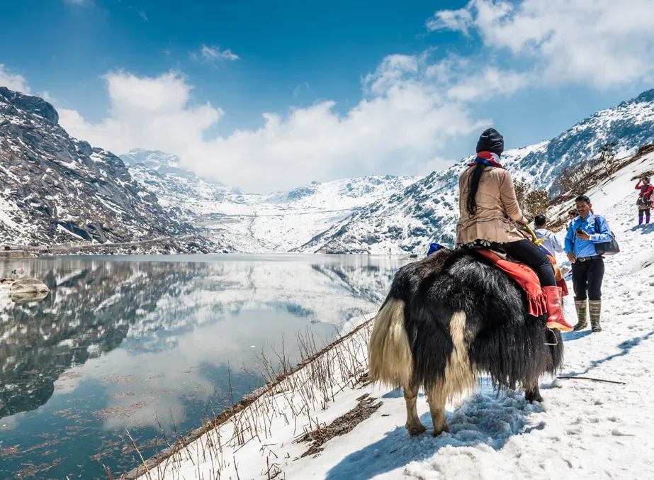 Sikkim: Tranquil Yak Safari Adventure, Gangtok