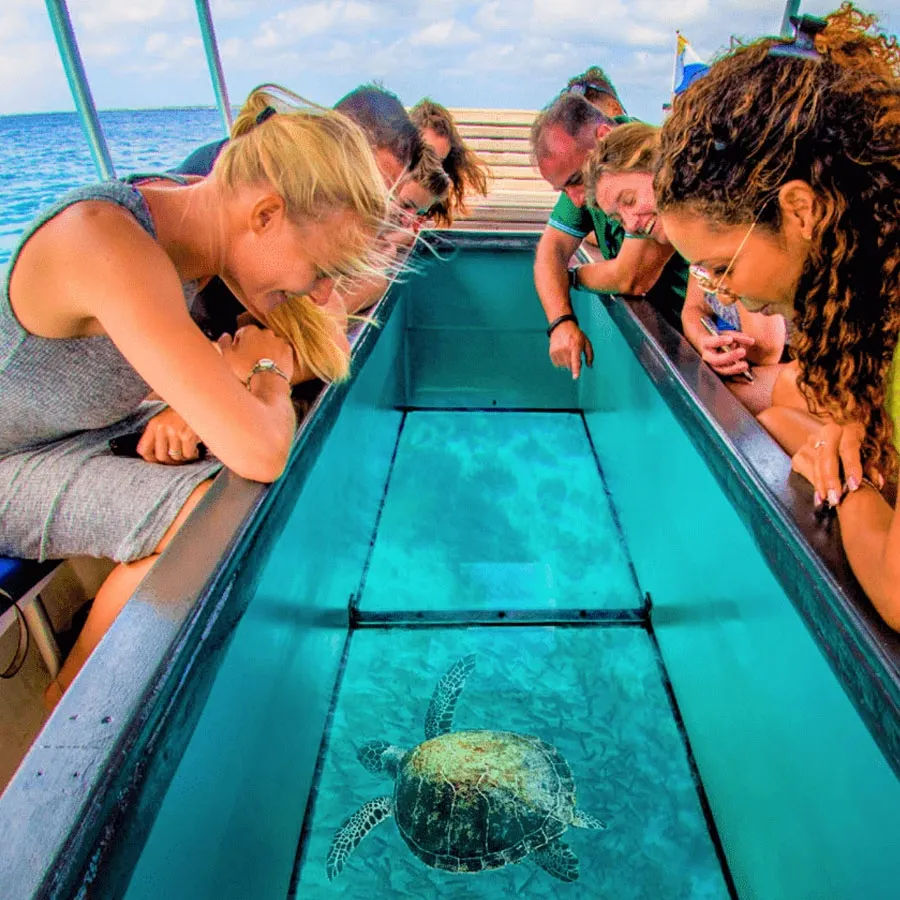 Neil Island: Underwater Glass Bottom Adventure, Neil Island