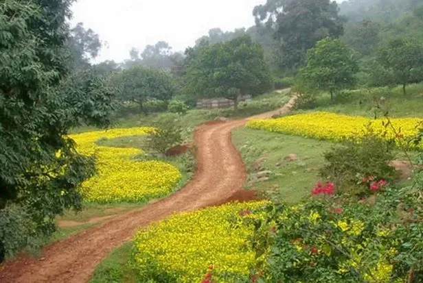 Aura Valley: Tranquil Nature & Romantic Retreat