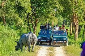 Kaziranga: Untamed Wilderness Jeep Adventure, Guwahati