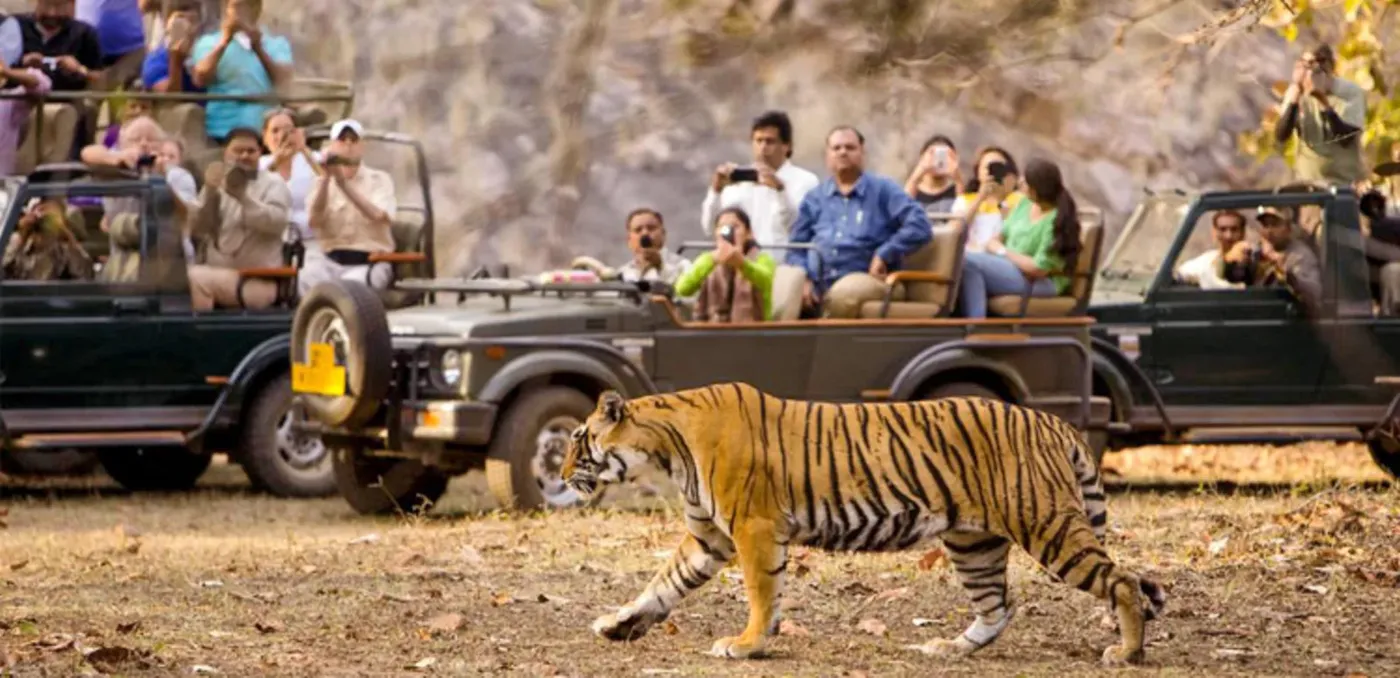 Ooty: Nilgiri Hills Open Jeep Adventure, Ooty