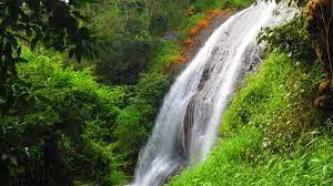 Chelavara Falls And Nalknad Palace Tour, Mysore, Mysore