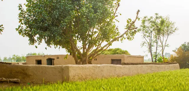 Amritsar: Rustic Farm & Cultural Adventure