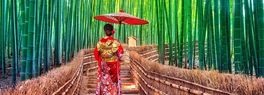 From Osaka: Kyoto Top Highlights Day Trip, Osaka