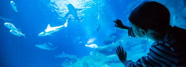 Paris: Oceanic Wonders Aquarium Experience