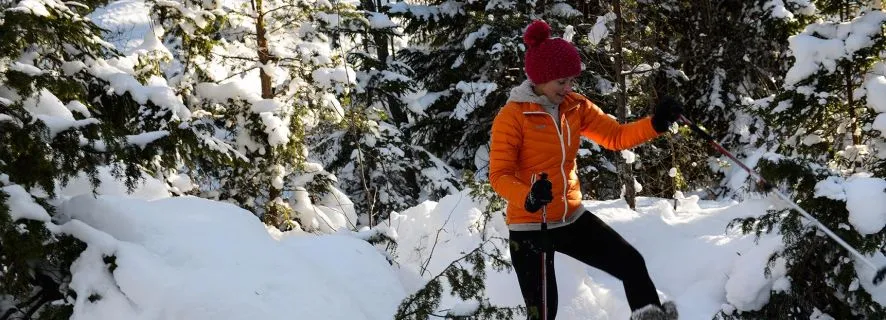 Stockholm: Enchanted Snowshoe Wilderness Escape, Stockholm