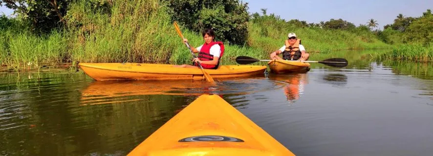 Goa: Backwaters and Mangrove Kayaking Experience, Goa