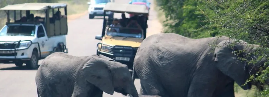 Johannesburg: Epic 2-Day Kruger Safari Escape, Johannesburg
