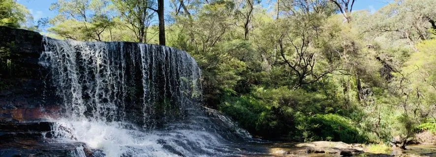 Sydney: Enchanting Blue Mountains Adventure, Sydney