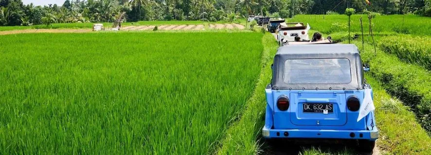 Bali: Vintage VW Countryside Adventure, Ubud