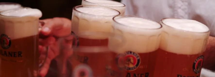 Munich's Beer Halls and Breweries: 3-Hour Guided Tour, Munich