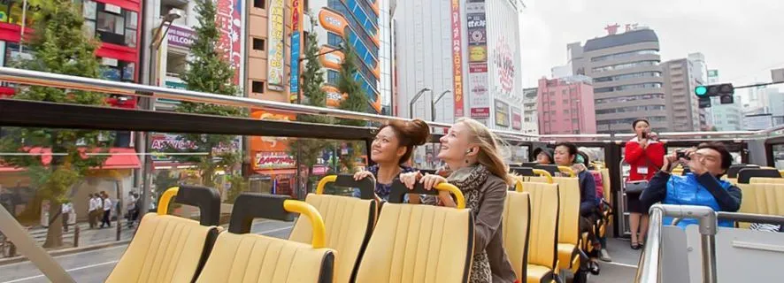 Tokyo: Hop-On Hop-Off Sightseeing Bus Ticket, Tokyo