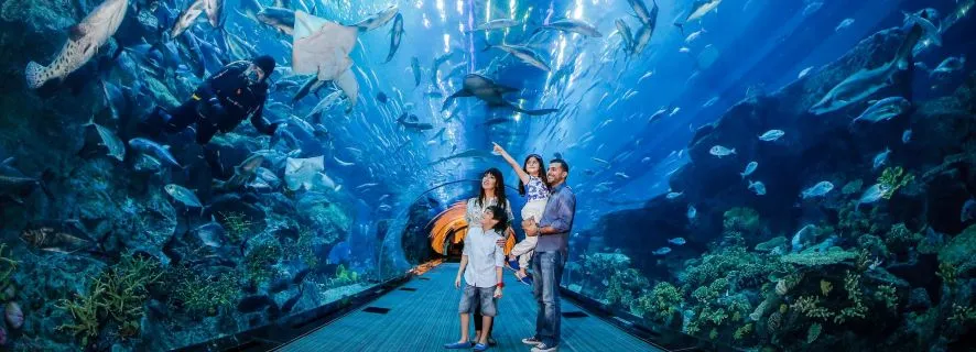 Dubai Aquarium: Immersive Underwater Odyssey, Dubai