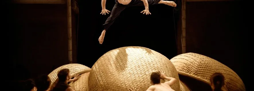 Ho Chi Minh: A O Show Ticket at Saigon Opera House, Ho Chi Minh City