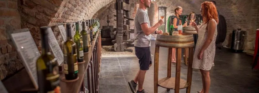 Bratislava: Wine Tasting with Sommelier, Bratislava