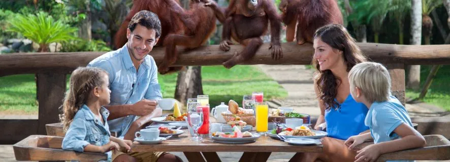 Bali Zoo: Breakfast with the Orangutans, Ubud