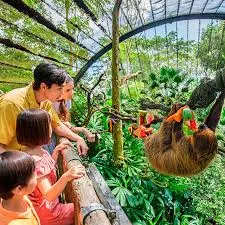 Singapore Zoo: Rainforest Adventure & Tram Ride, Singapore
