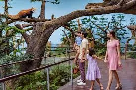River Wonders Entry Ticket, Singapore
