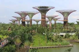 Singapore: Sky-High Gardens & Marina Views, Singapore