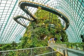 Singapore: Botanical Fantasia & Cloud Gardens