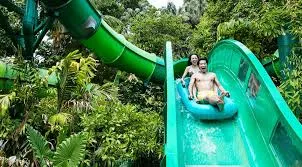 Adventure Cove: Thrilling Water Escape