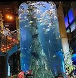 Aquaria KLCC: Underwater Wonderland