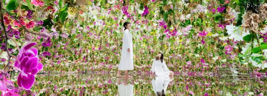 TeamLab Planets TOKYO: Digital Art Museum Entrance Ticket, Tokyo