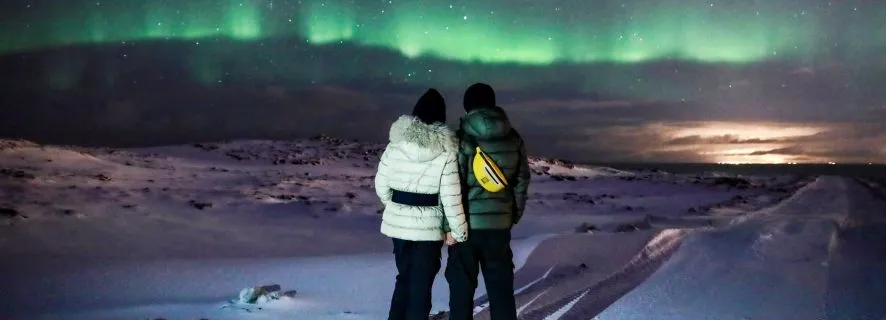Iceland: Northern Lights Bus Tour from Reykjavik, Reykjavík