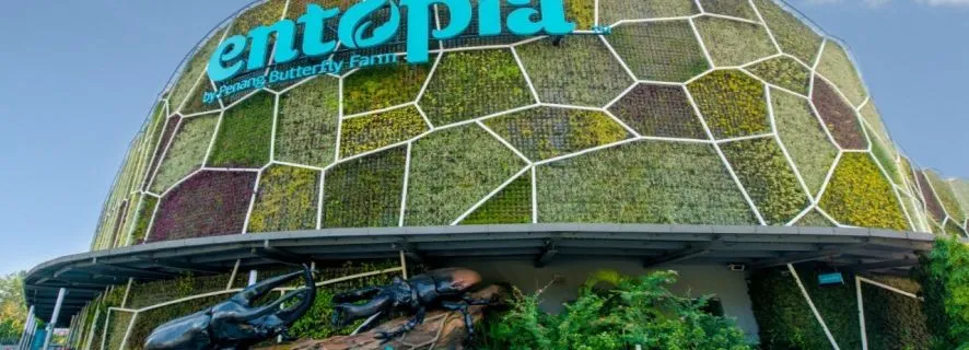 George Town: Entopia by Penang Butterfly Farm Entry Ticket, Penang