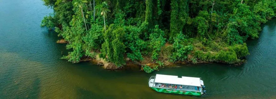 Cairns: Rainforest & Wildlife Expedition, Cairns