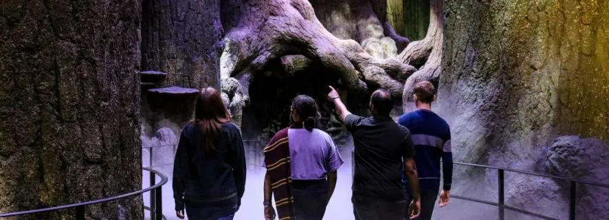 London: Wizarding World Studio Adventure, London