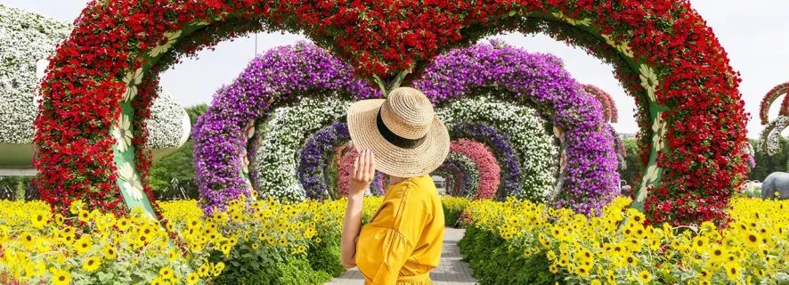 Dubai: Miracle Garden Entry Ticket with Hotel Transfer, Dubai