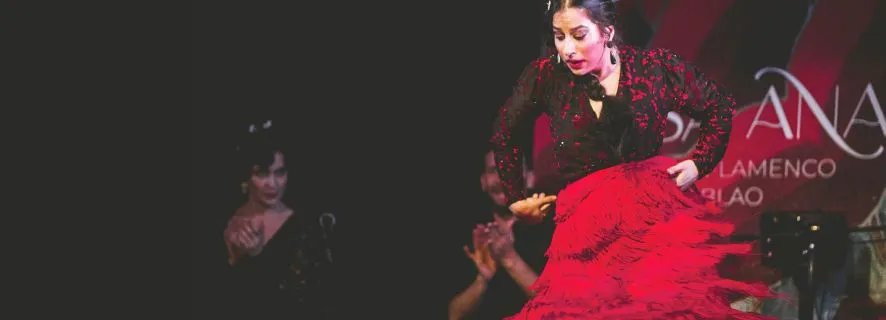 Granada: Live Flamenco Show at Casa Ana Entry Ticket, Granada