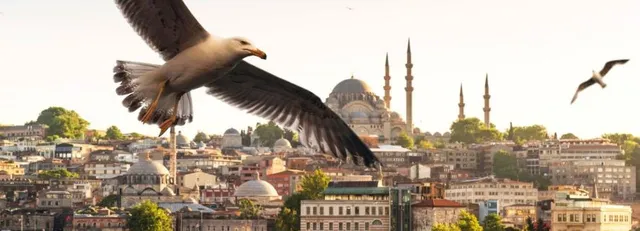 Istanbul Bosphorus: Sunrise & Sunset Cruise