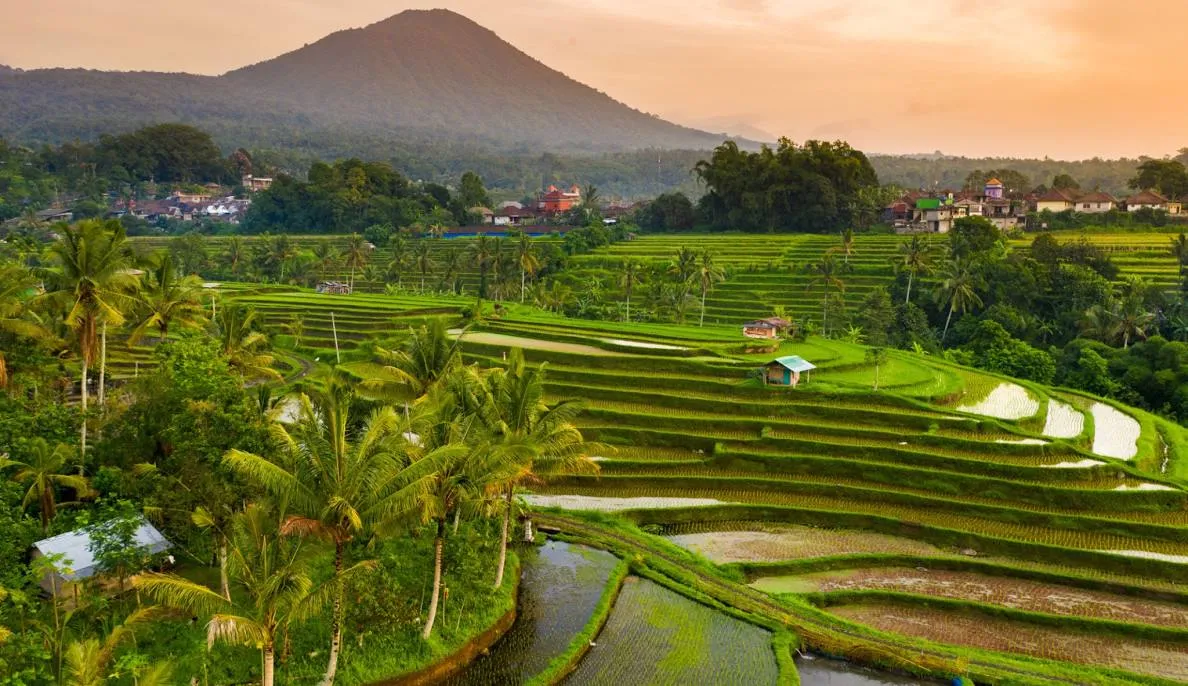 North Bali: Heritage & Nature Day Adventure, Kuta