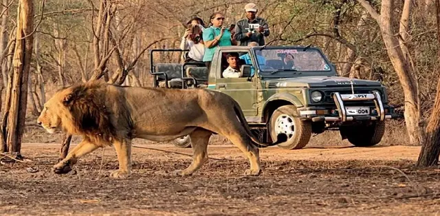 Gir Forest: Wilderness of the Last Lions
