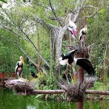 Penang Bird Park: A Walk Among Wings, Penang