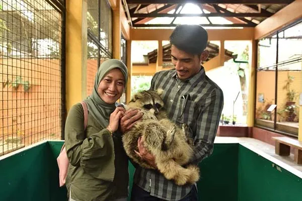 Langkawi Wildlife Paradise Exploration