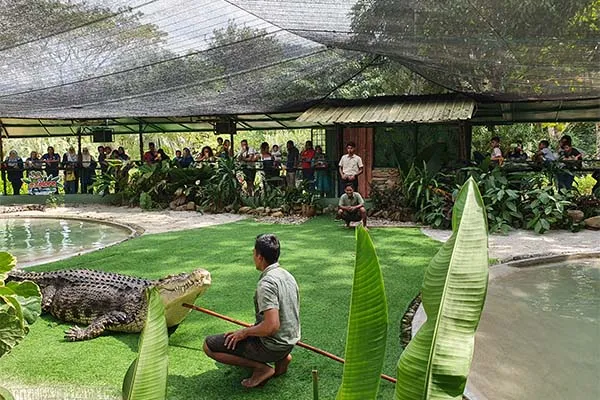 Langkawi: Explore Crocodile Adventure Park, Langkawi