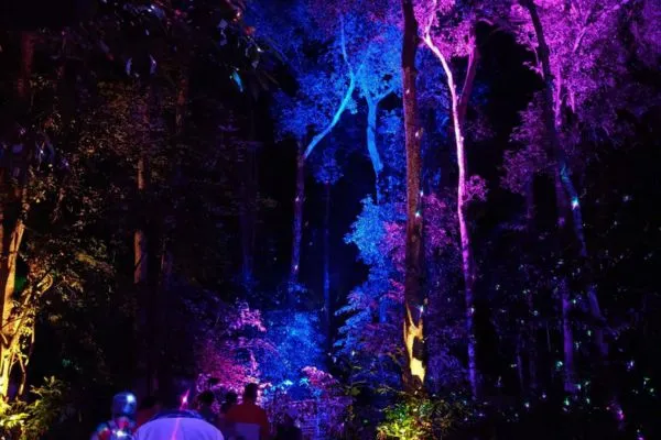 Langkawi: Mythical Dream Forest Experience, Langkawi